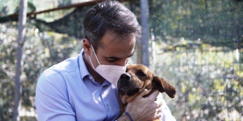 Ο νέος ‘ένοικος’ του Μαξίμου είναι τετράποδος και ακούσει στο όνομα Πίνατι (Peanut!) (φωτος)