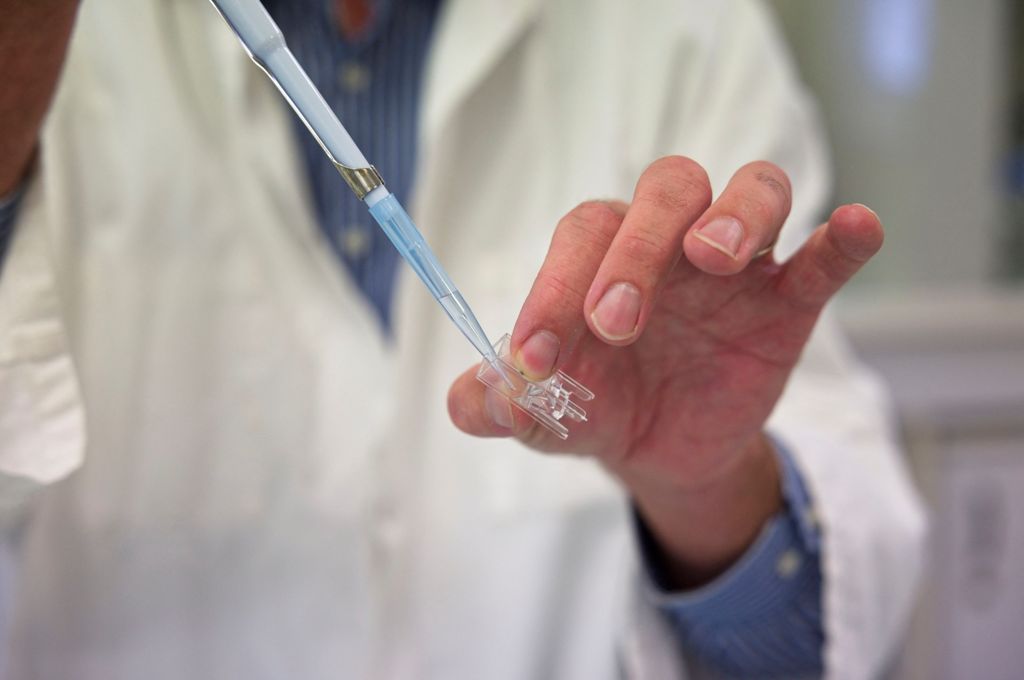 Covid-19: l’Inrae et l’université de Tours déposent un brevet pour un candidat vaccin par voie nasale