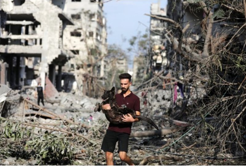 With few resources left, a man in Gaza hopes to save hundreds of animals (pics)