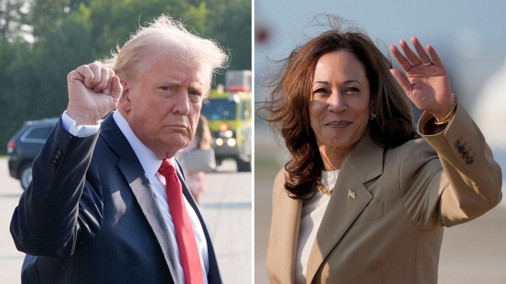 American Elections: Trump agrees to debate Kamala Harris on Fox News