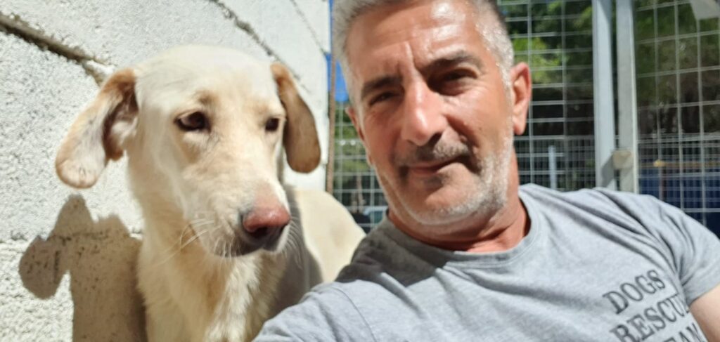 Γιώργος Κρητικός για το κρεμασμένο σκυλί: Δίνουμε ως ΑΜΚΕ 1.000 ευρώ και αλλά 1.000 ευρώ από εθελοντή για πληροφορίες