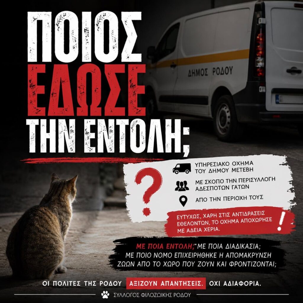 Ποιος Έδωσε την Εντολή για την Απομάκρυνση των Αδέσποτων Γατών στη Ρόδο;